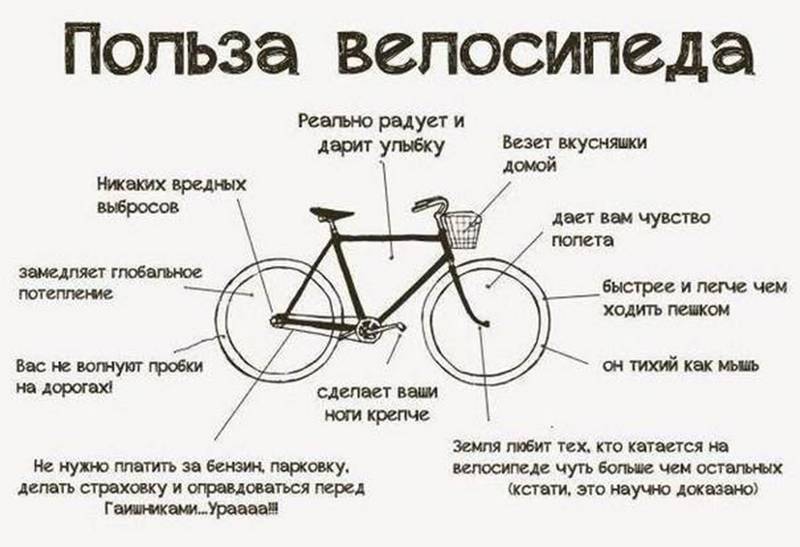 Чем полезен велосипед – занимательная инфографика